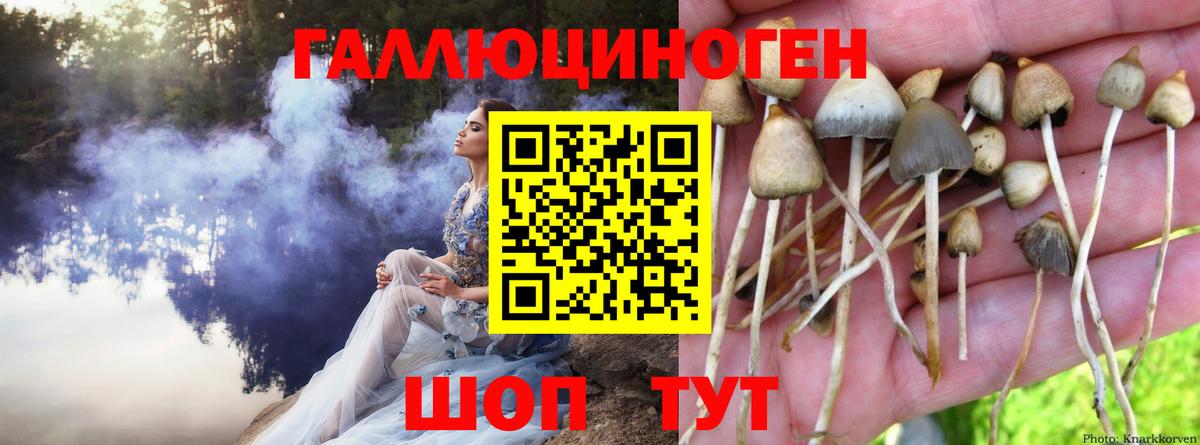 Кашира  Галлюциногенные грибы мухоморы  Вход с VPN 